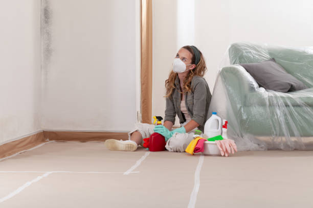 Reliable Mold Remediation contractor in Glenelg, MD by WQB Mold Removal